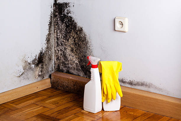 Best Crawl Space Mold Removal  in Imperial, MO